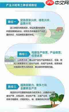乡村振兴的关键路径是什么