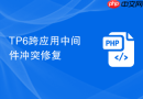 TP6跨应用中间件冲突修复