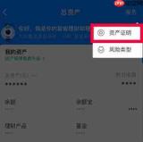 支付宝AI版如何查看总资产和昨日收益