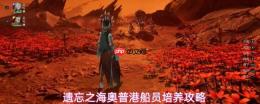 遗忘之海奥普港船员培养全攻略