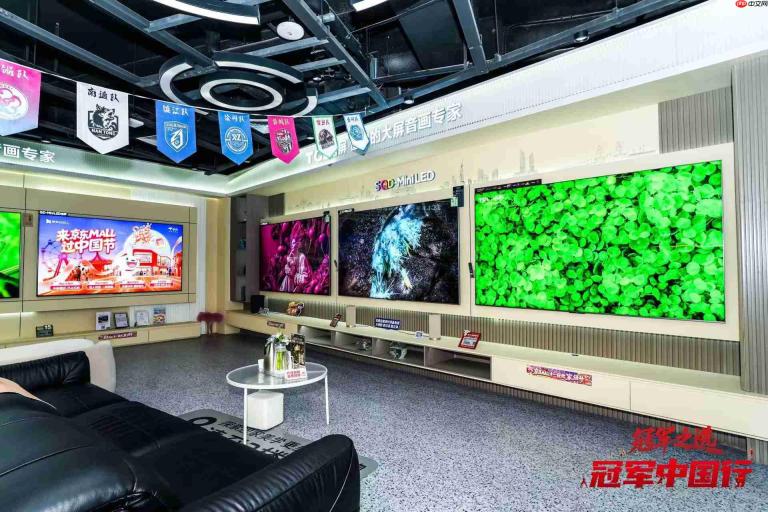 徐梦桃空降南京!TCL Q9M Art以壁纸美学诠释SQD冠军画质