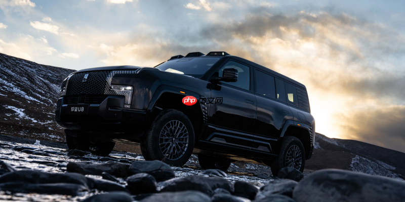 适合家用的百万级SUV:仰望U8多维度被动防护体系
