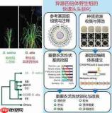 失控进化种子优质基因怎么获得