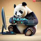 怎么进入熊猫办公登录首页