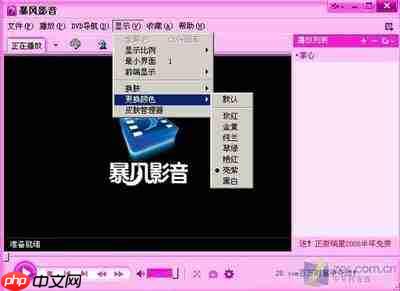 暴风影音怎么换皮肤