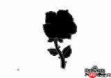 怎么用CAD设计玫瑰花和爱心图案