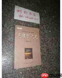 骡子快跑如何写小说