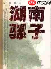 骡子快跑如何写小说