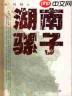骡子快跑如何写小说