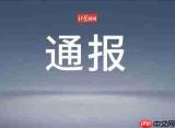 找字高手鹅找出9个常用字怎么过