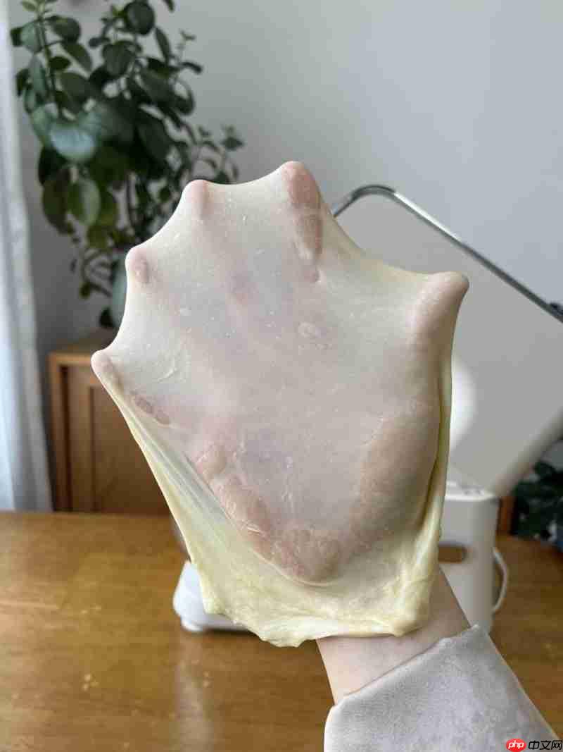 重构家用打面体验,凯度厨师机F6CPro 解析:一键手膜背后的技术逻辑