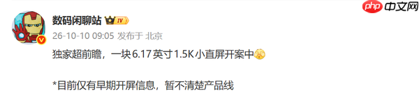 曝华为将新增小尺寸直屏机 6.17英寸1.5K屏已开案