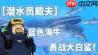 潜水员戴夫大白鲨在哪