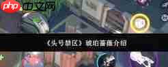 头号禁区琥珀蔷薇是什么