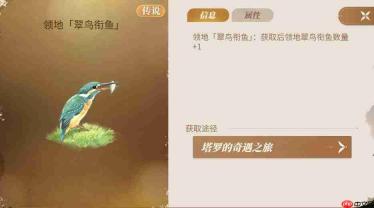 新庄园时代：塔罗奇遇玩法即将登场介绍