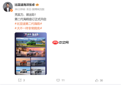 2026年内上市！比亚迪第二代海鸥电动汽车开启盲订