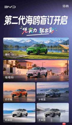 2026年内上市！比亚迪第二代海鸥电动汽车开启盲订