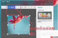 画图3D如何使用？画图3D入门使用方法