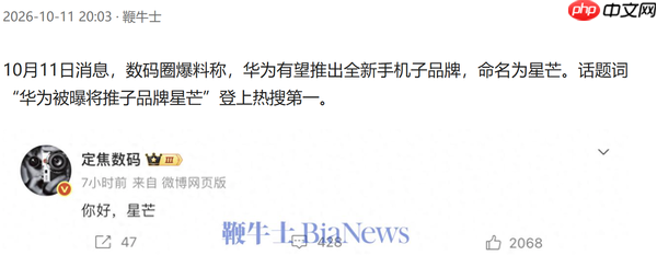曝华为新品牌已规划多款产品 本月预计发布首款手机