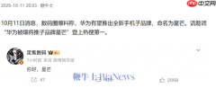 曝华为新品牌已规划多款产品 本月预计发布首款手机