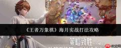 王者万象棋:海月实战打法全攻略