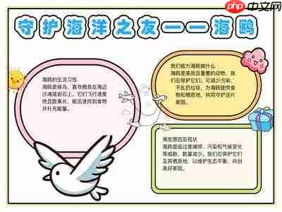 可爱海鸥手抄报怎么创意设计