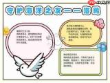 可爱海鸥手抄报怎么创意设计