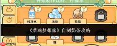 新手梦想者如何自制奶茶的攻略
