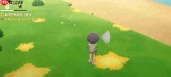 星布谷地狼蛛捕获方法与攻略