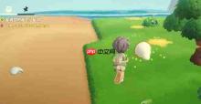 星布谷地狼蛛捕获方法与攻略