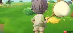 星布谷地狼蛛捕获方法与攻略