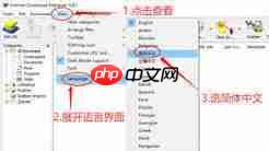 idm下载器怎么添加需要监视的浏览器