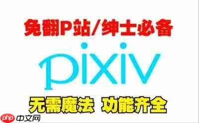 怎么找pixiv首页及镜像链接