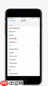 iPhone如何设置轻点背面截屏