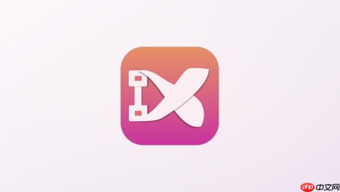 小白网账号登录中心:最新电脑端官网入口与新用户注册网址