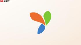 yii2.0.51缓存用户信息读取用户名