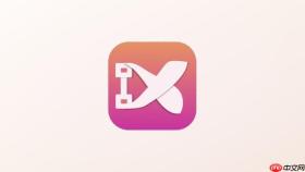 【小白网最新版】官方主页网址与pc端网页登录直达链接