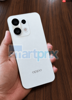 OPPO Reno 17系列印度或仅推出2款机型 采用不同心片