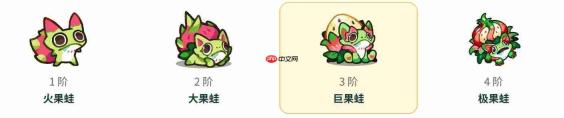 塔塔冒险队中的巨果蛙:表现如何及详细介绍