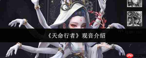 天命行者中的观音如何及介绍