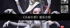 天命行者中的观音如何及介绍