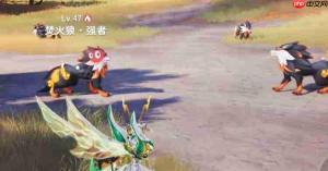 伊莫焚火狼如何?焚火狼详情介绍