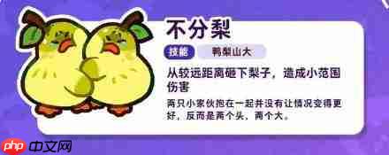 塔塔冒险队“不分梨”的含义解析