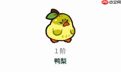 塔塔冒险队“不分梨”的含义解析