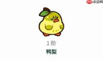 塔塔冒险队“不分梨”的含义解析