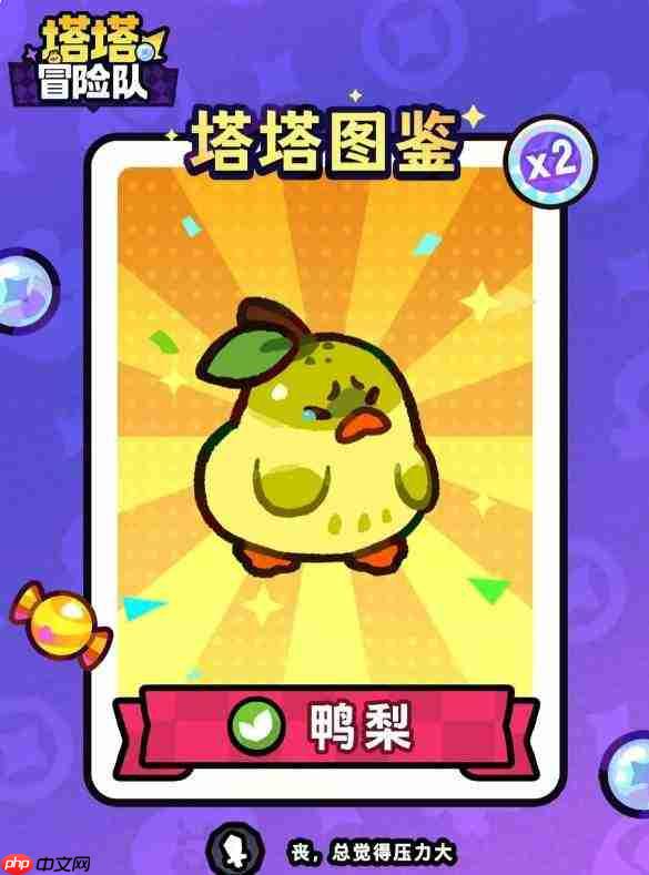 塔塔冒险队“不分梨”的含义解析