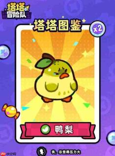 塔塔冒险队“不分梨”的含义解析