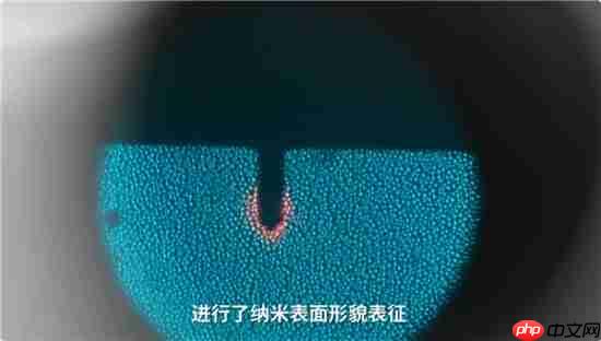 影视飓风实测iPhone Duo:纳米纹理内屏手汗油渍擦不掉?