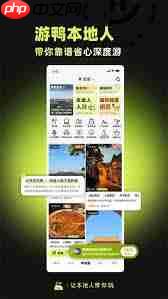 游鸭app如何找地陪