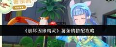 崩坏因缘精灵薯条鸥怎么搭配薯条鸥搭配攻略